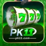 Paki11 Game