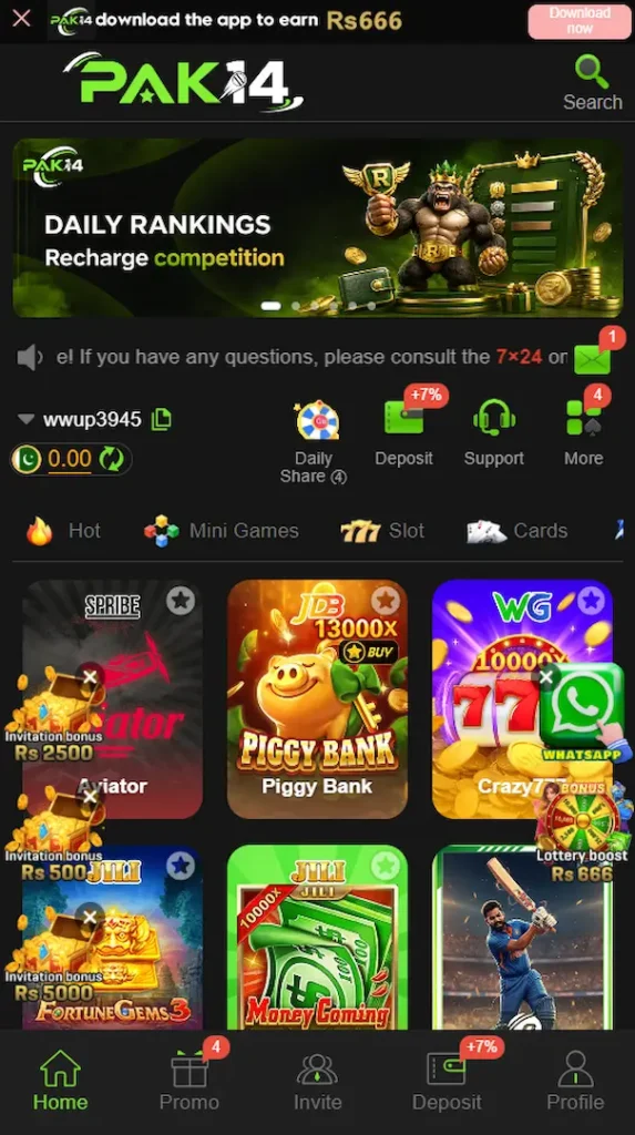 PAk14 Game