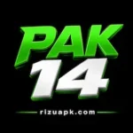 PAK14 Game